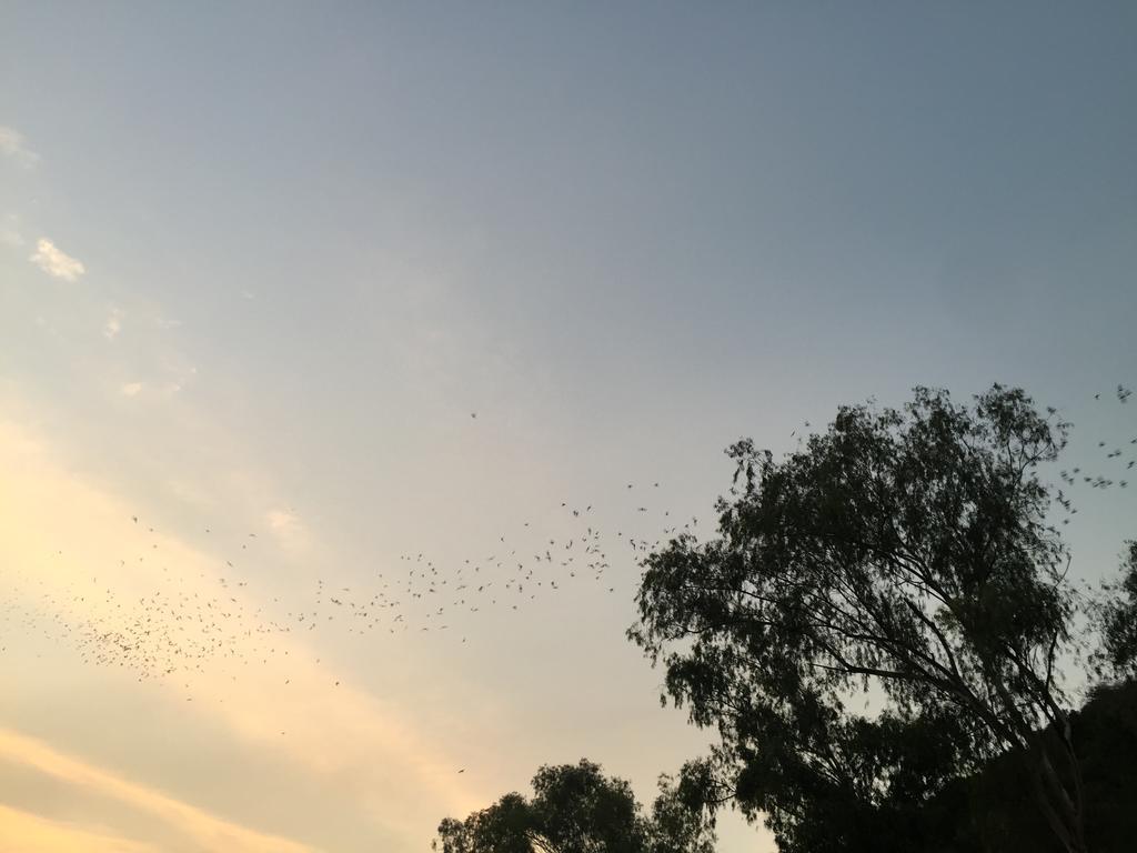 夜功府 家乡旅舍旅舍 外观 照片